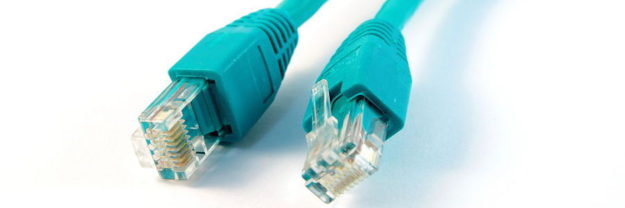 Close-up Network Cable on White Background, internet connection